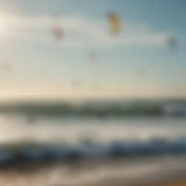 A group of kite surfers enjoying a sunny day on Cape Cod