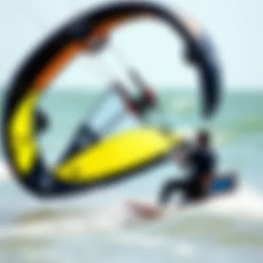 Innovative kite design on display