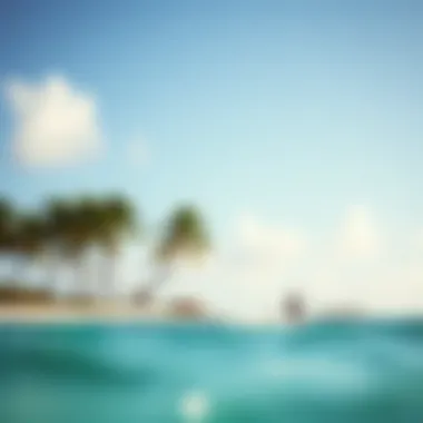 Scenic Kitesurfing Spot with Palm Trees Scenic kitesurfing spot with palm trees