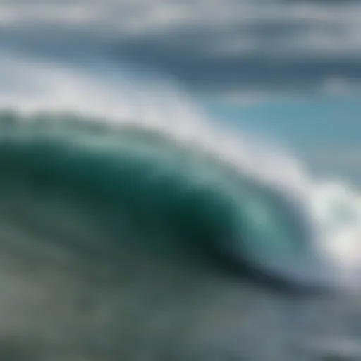 Dynamic wave patterns on Lake Erie