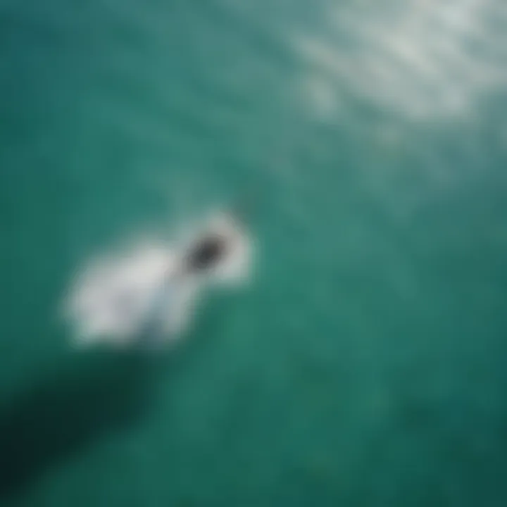 An aerial view of a kiteboarder gliding over turquoise waters