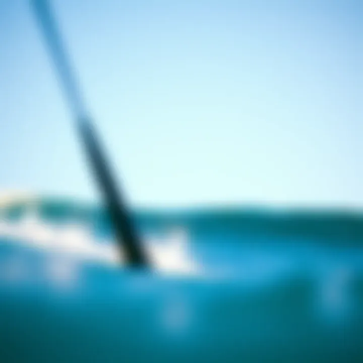 Explore Naish Gear for All Skill Levels Variety of Naish gear for different skill levels