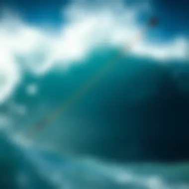 Durability and Performance of Naish Kite Lines High-quality Naish kite lines showcasing durability and performance.