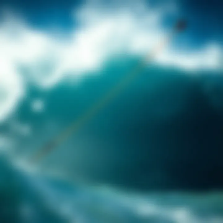 Durability and Performance of Naish Kite Lines High-quality Naish kite lines showcasing durability and performance.