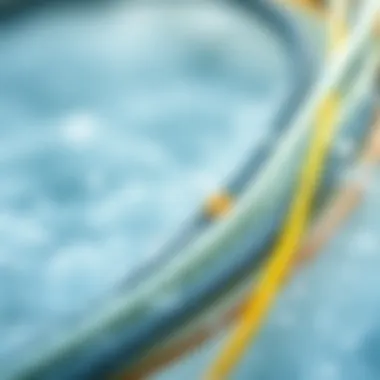 Materials for Optimal Performance in Kite Lines A variety of materials used in Naish kite lines for optimal performance.