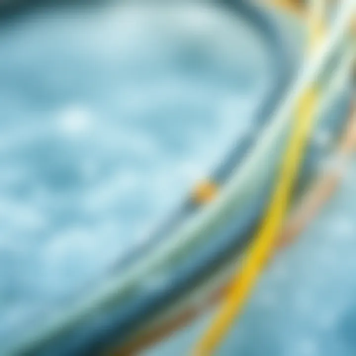 Materials for Optimal Performance in Kite Lines A variety of materials used in Naish kite lines for optimal performance.