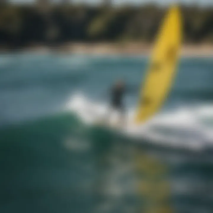 Naish wing foil board in action on water during a sunny day