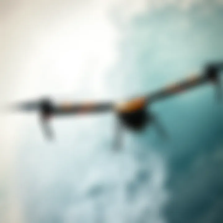 Dynamic flight of the Ozone Wasp V2 in action