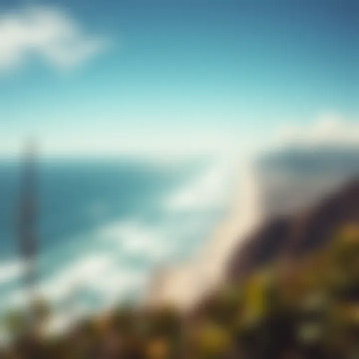 A panoramic view of Dolphin Beach showcasing the natural beauty and wind conditions