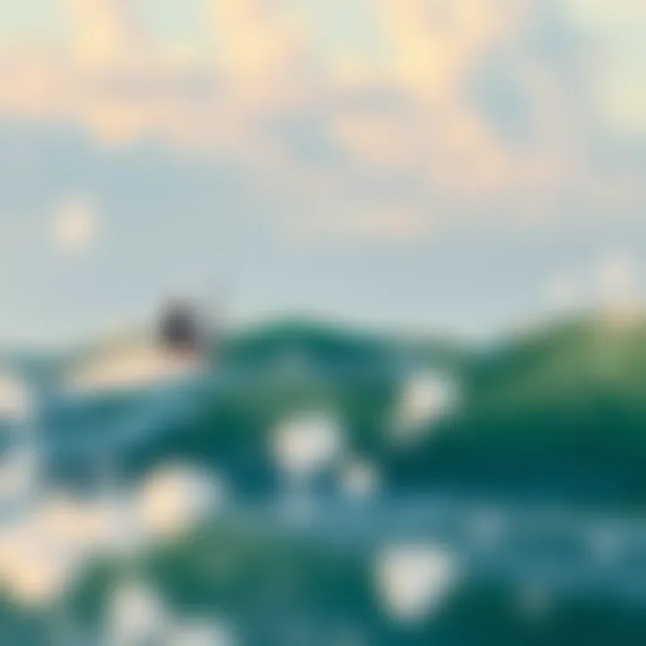 Wind patterns over Sanibel Island captured from radar