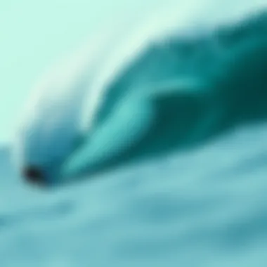 Technical specifications of Soloshot 3