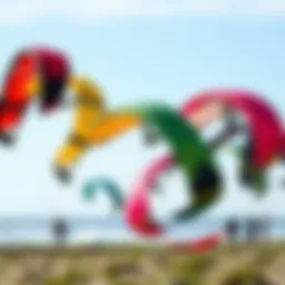 Different types of sport kites displayed in vibrant colors