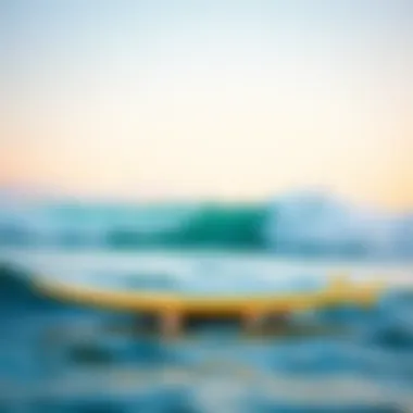 Comparison of traditional surfboard and hover surf board