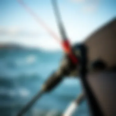 Detailing the Skywalker Kite's Design Close-up of Skywalker kite's innovative design and materials