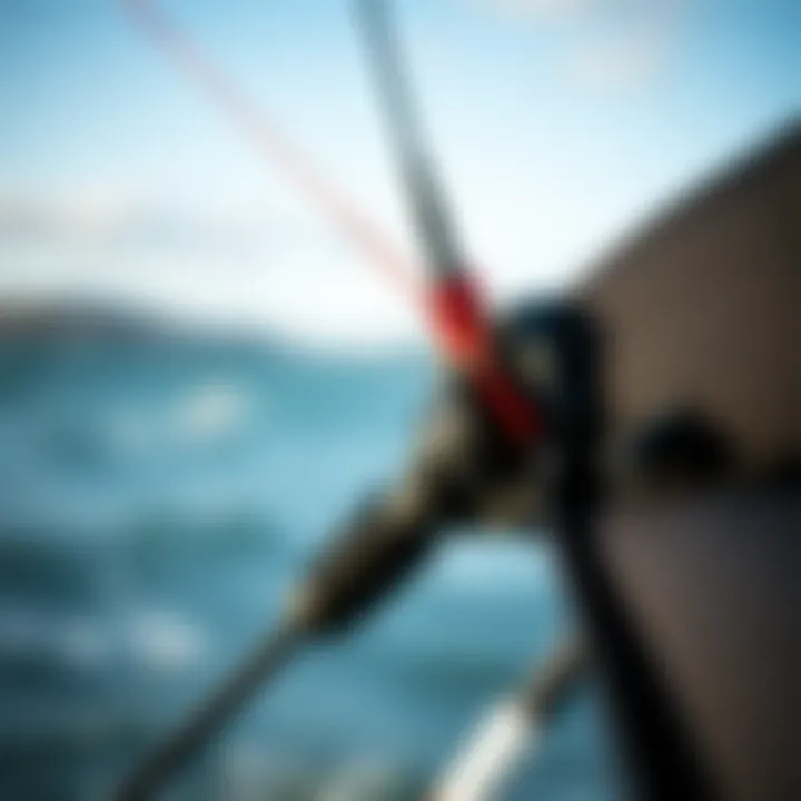 Detailing the Skywalker Kite's Design Close-up of Skywalker kite's innovative design and materials