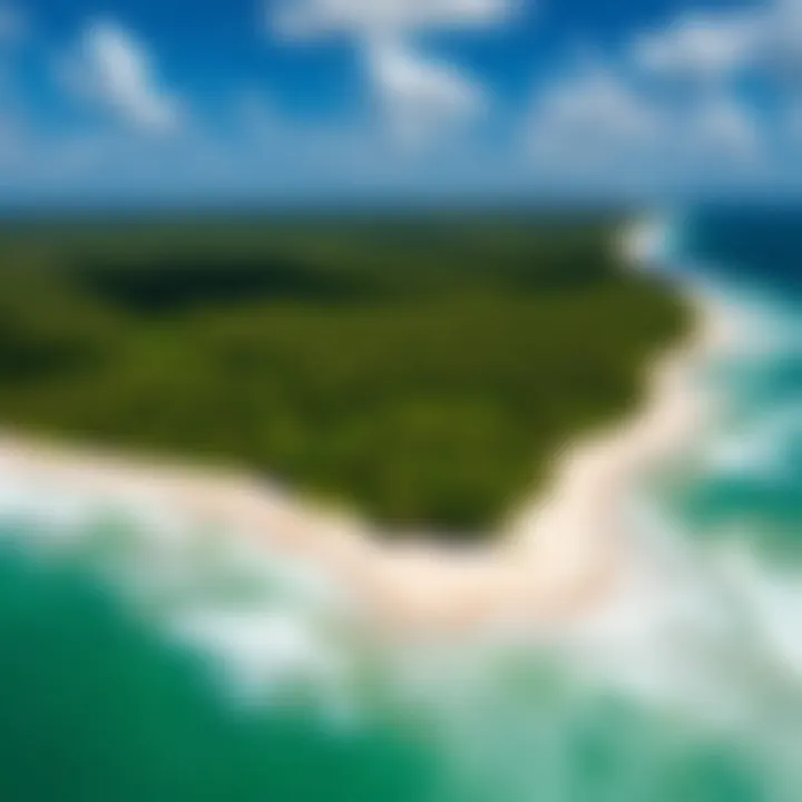 Ecological Importance of Tiger Tail Beach Aerial shot of the pristine environment around Tiger Tail Beach, emphasizing its ecological significance.