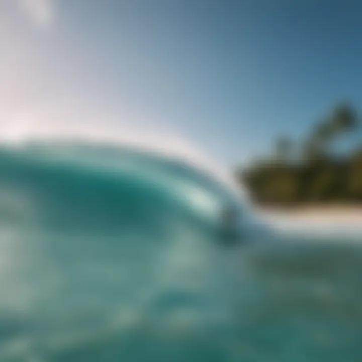 A group of surfers enjoying the waves together in a tropical setting