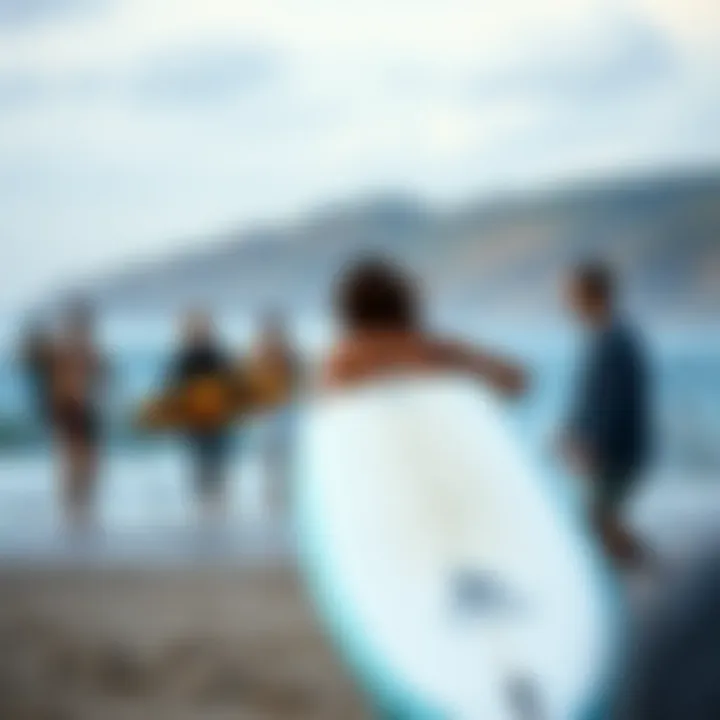 The Efoil Community at Play A scenic beach with efoil surfboard enthusiasts