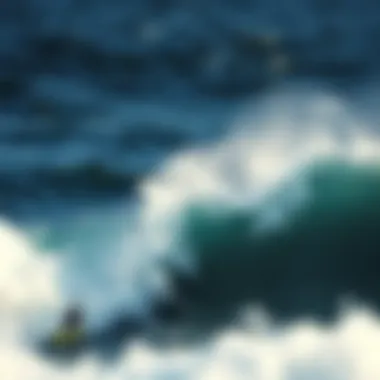 Graph showing trends in foil surfing prices over time