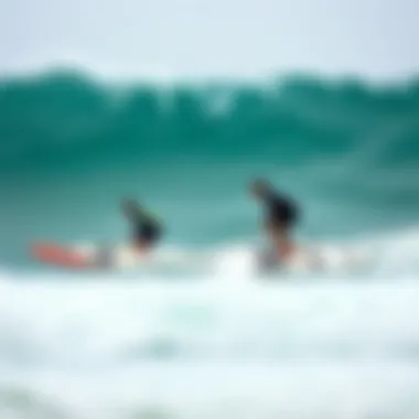 Comparative Analysis of Hydro Board Models Comparison of hydro board models with features