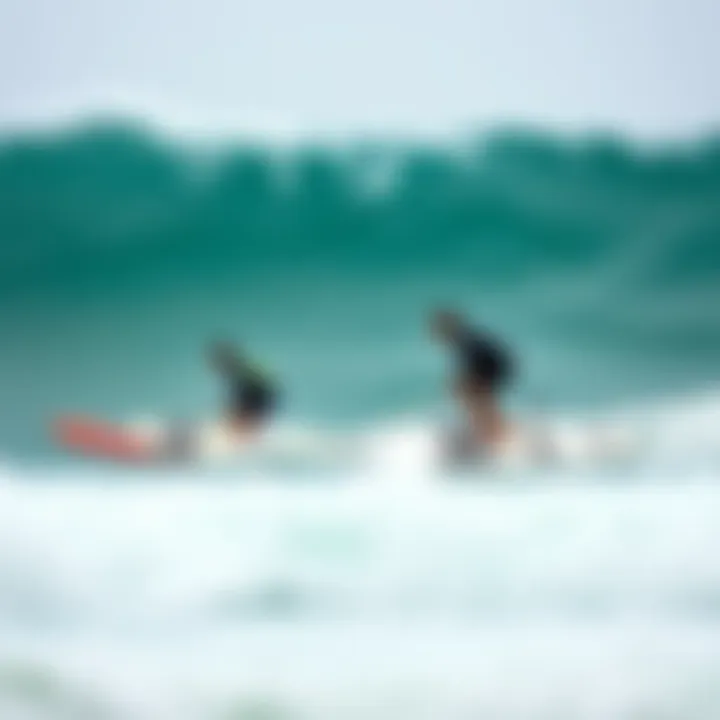 Comparative Analysis of Hydro Board Models Comparison of hydro board models with features