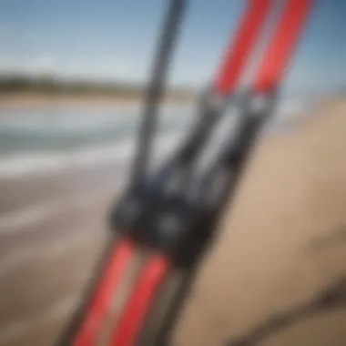 Detailed view of a kite's bridle system