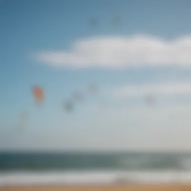 Diverse range of kites displayed for comparison