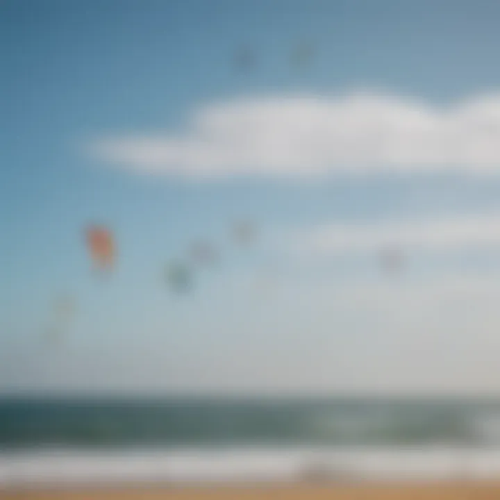 Diverse range of kites displayed for comparison