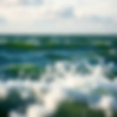 Geographical Insights into Michigan's Wind Patterns A geographical overview of Michigan highlighting wind patterns