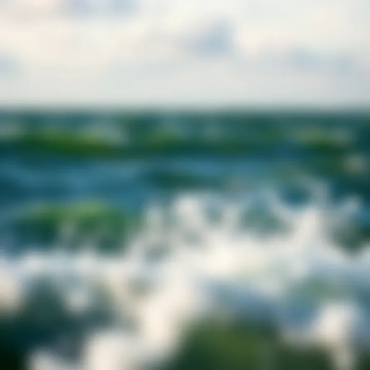 Geographical Insights into Michigan's Wind Patterns A geographical overview of Michigan highlighting wind patterns