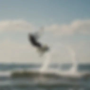 Kiteboarding on Lake Huron