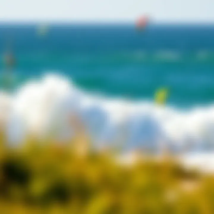 Market trends graph demonstrating pricing fluctuations for wings