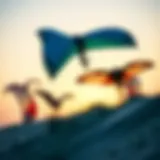 Diverse Kiteboarding Wings Different types of kiteboarding wings showcasing their unique designs and features