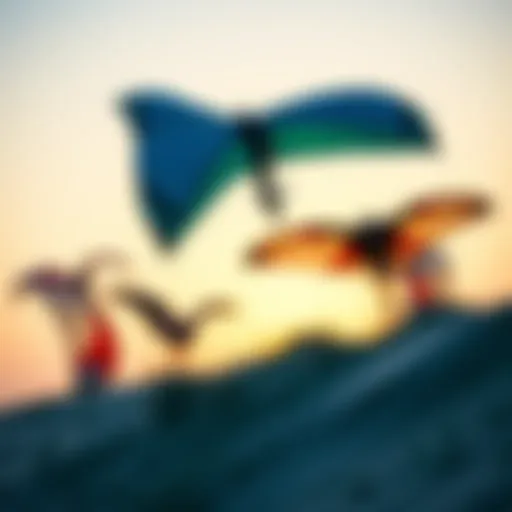 Diverse Kiteboarding Wings Different types of kiteboarding wings showcasing their unique designs and features